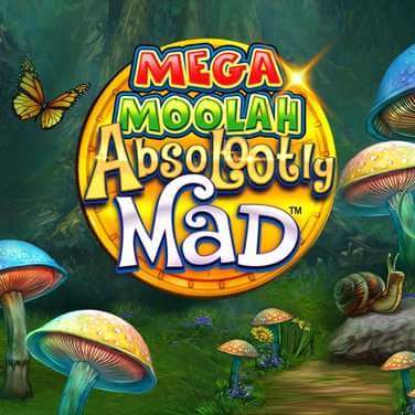 Mega Moolah Absoolootly Mad